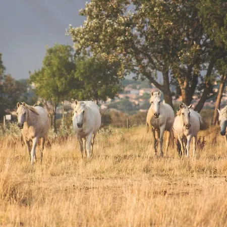 Ferienhaus Domaine De Merins, 10 Couchages Avec Piscine, Face A La Riviere, A 4km De La