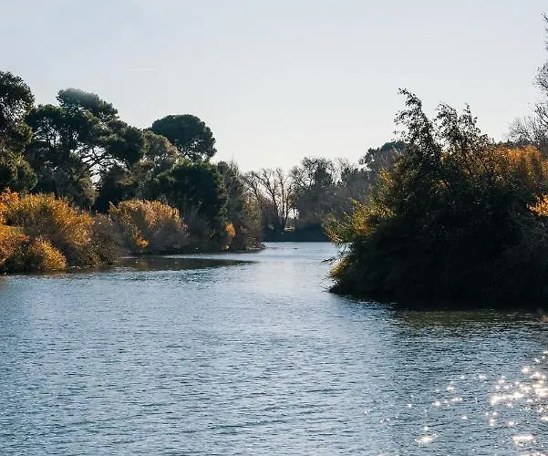 Domaine De Mérins, 10 Couchages Avec Piscine, Face à La Rivière, à 4km De La *